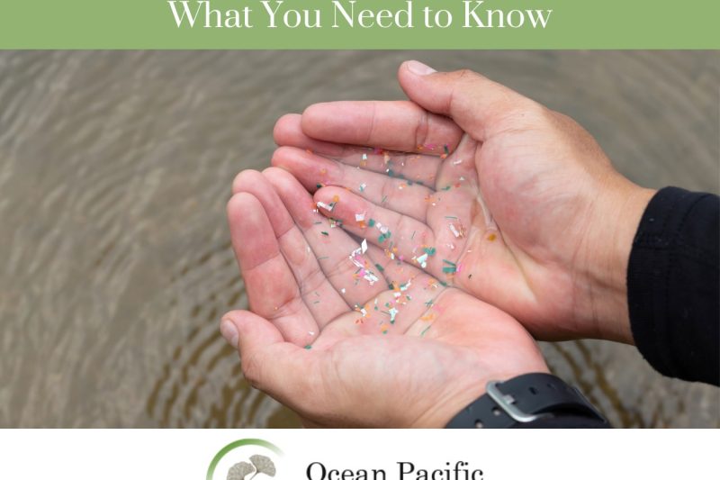 Understanding Microplastics – What You Need to Know